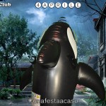RANDOM_311