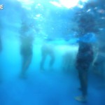POOL_PARTY_588