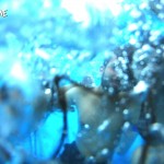 POOL_PARTY_589